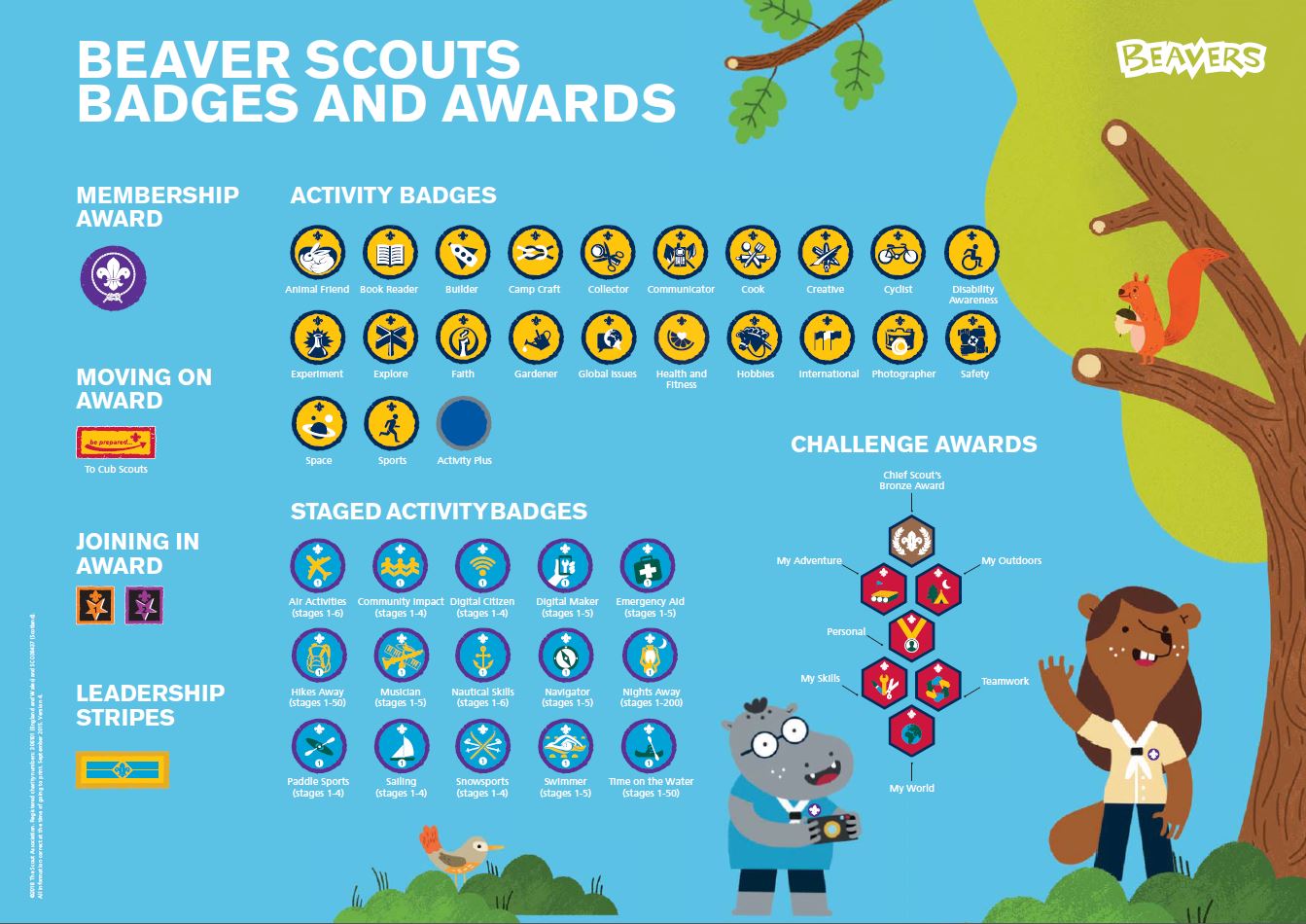 7th-larne-scouts-beavers-badges